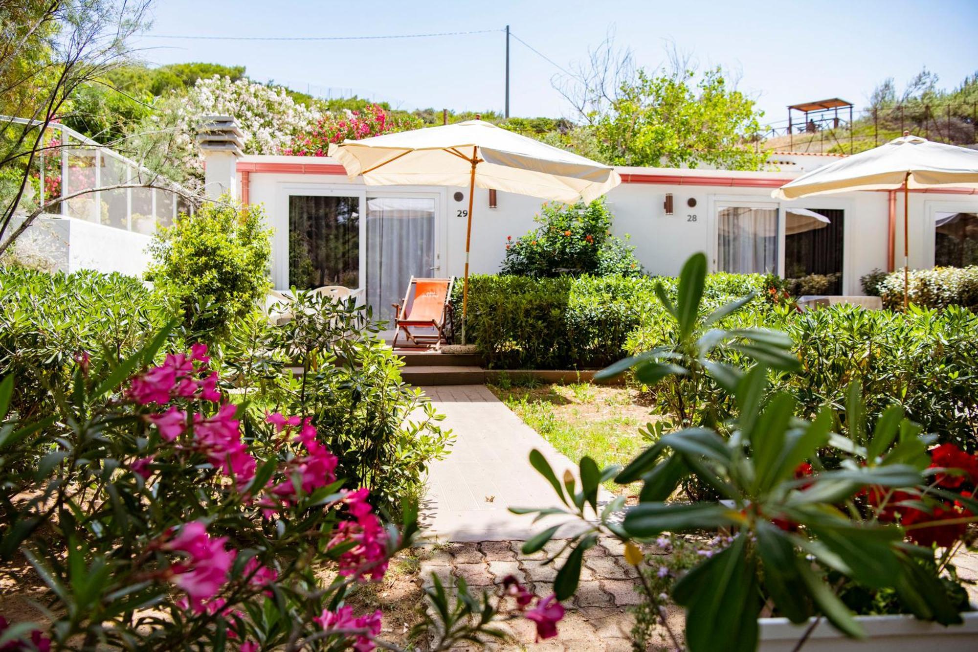 Camping Village Baia Falcone Vieste Dış mekan fotoğraf