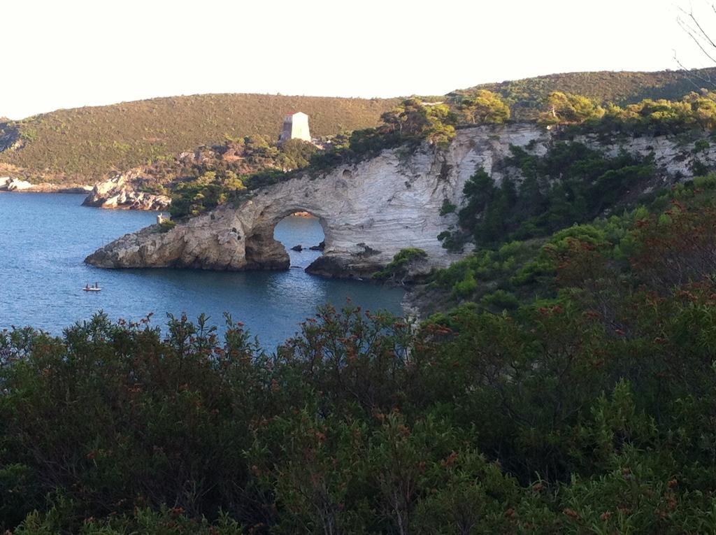 Camping Village Baia Falcone Vieste Dış mekan fotoğraf